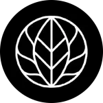 Neoterra Real Estate Development